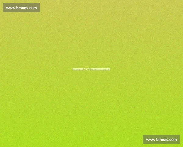 传控足球的胜利2026世界杯赛后数据,告诉你答案