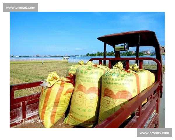 深度观察：世界杯赞助商名单，折射出怎样的时代变迁