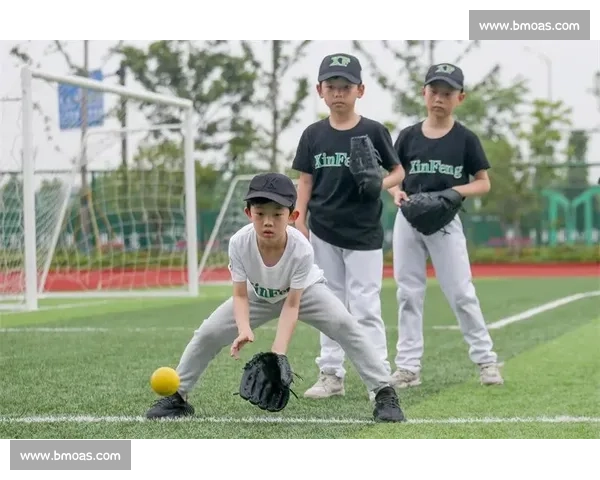 泪水与汗水铸就辉煌！棒球世界冠军榜，英雄的史诗